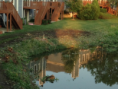 /album/photogallery/cottonwood-removal-1-png1/